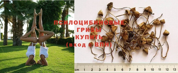 бутик Вязьма