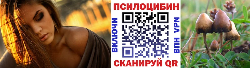 Псилоцибиновые грибы прущие грибы  Зуевка 