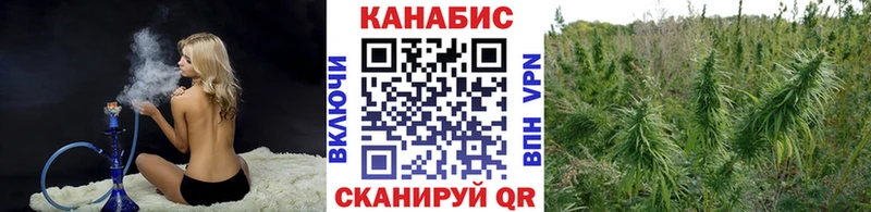 Марихуана Bruce Banner  купить закладку  ссылка на мегу онион  Зуевка 